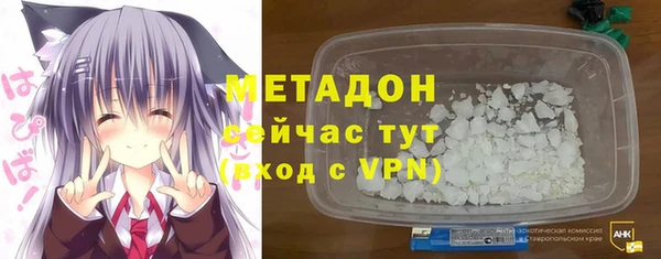 прущие грибы Абаза