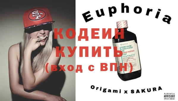 прущие грибы Абаза