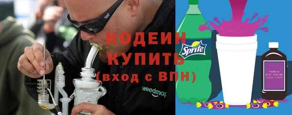 прущие грибы Абаза