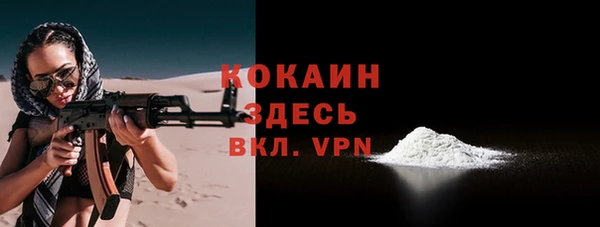 прущие грибы Абаза