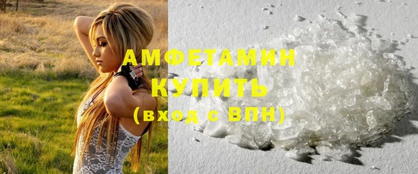 прущие грибы Абаза