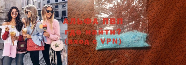 прущие грибы Абаза