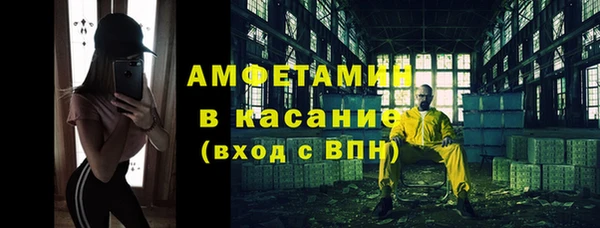 прущие грибы Абаза