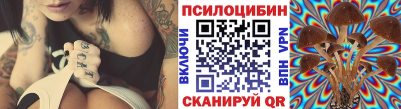 хочу наркоту  Разумное  Псилоцибиновые грибы мухоморы 
